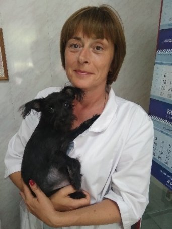 Описание изображения