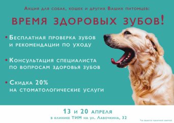 Описание изображения