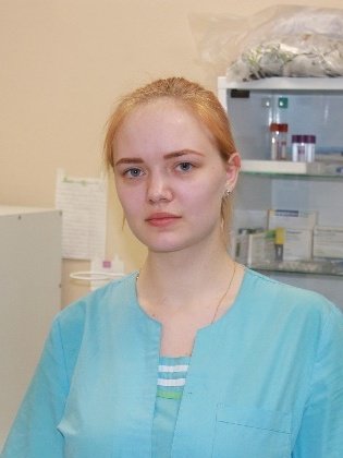 Описание изображения