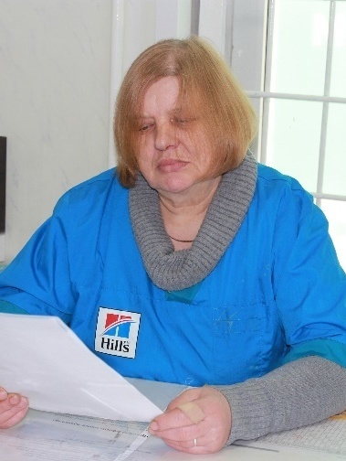 Описание изображения