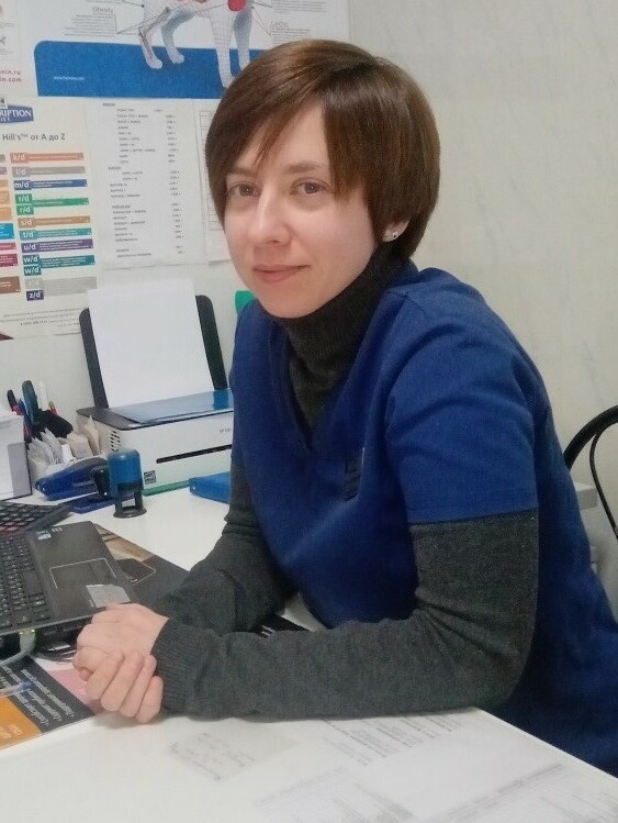 Описание изображения