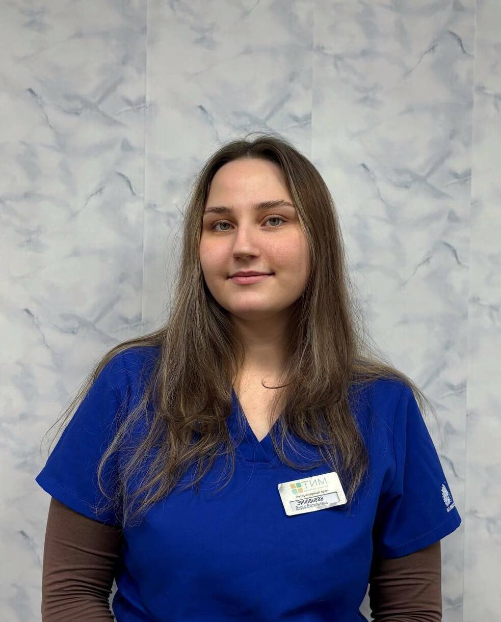 Описание изображения