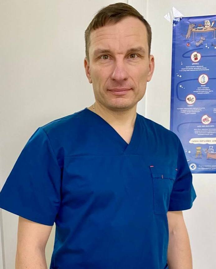 Описание изображения