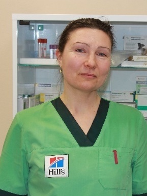 Описание изображения